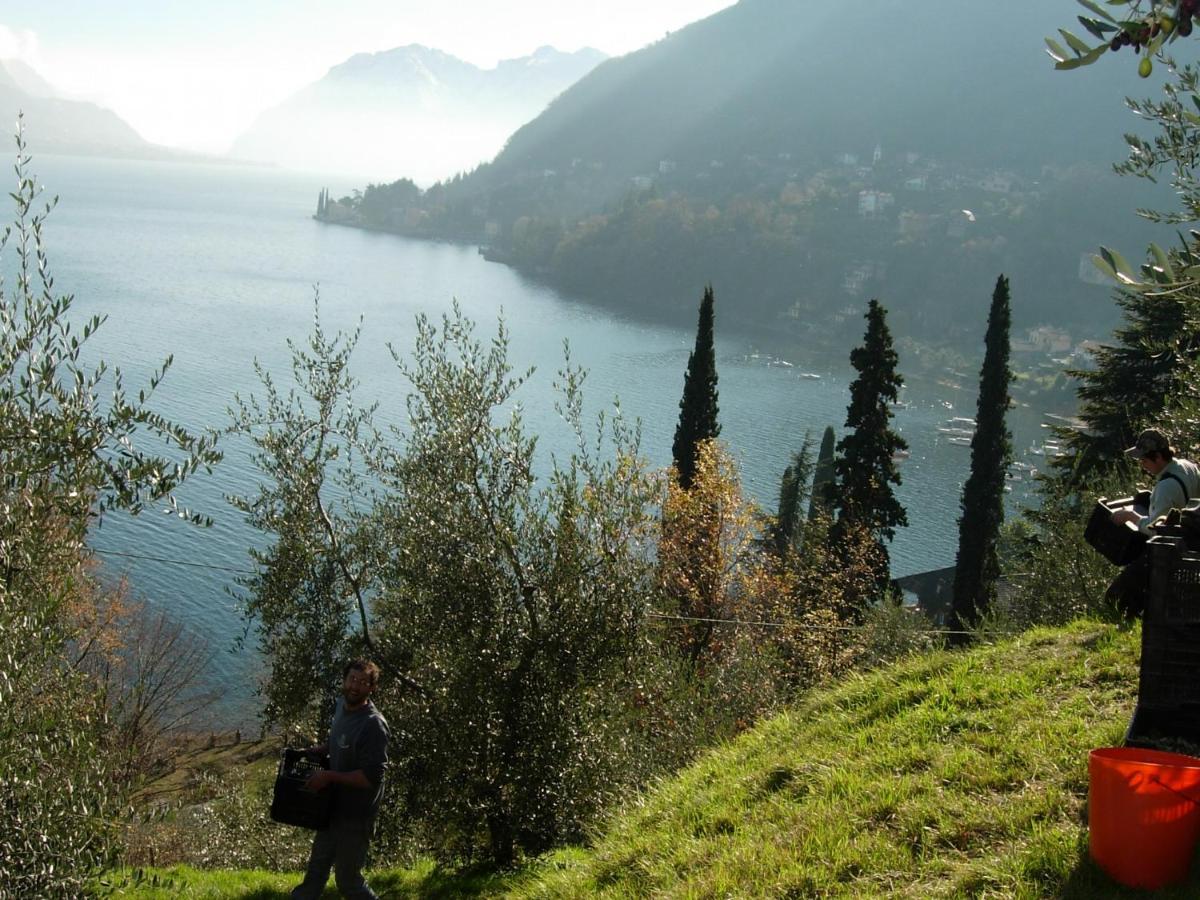 Casa Indipendente "Il Sole Delle Grigne" Villa Bellagio Ngoại thất bức ảnh